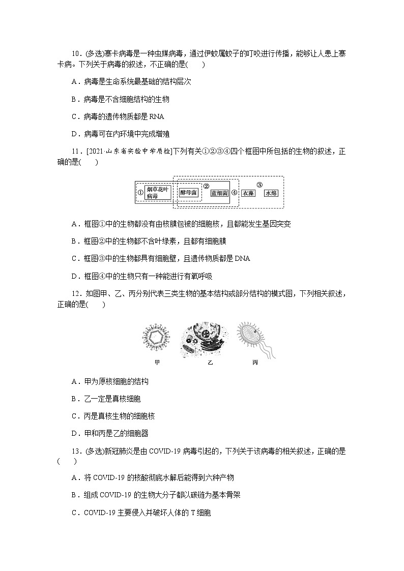 【新教材】2022届新高考生物一轮复习课后检测：1+借助显微镜　走近细胞+Word版含解析第3页