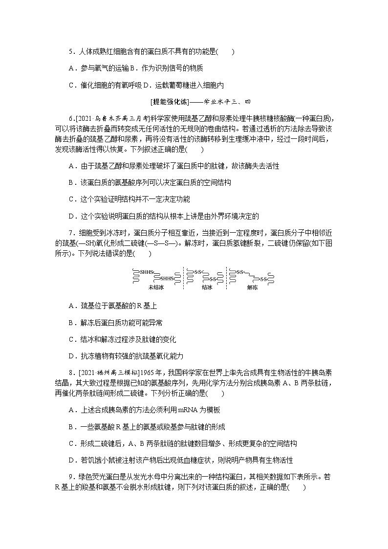 【新教材】2022届新高考生物一轮复习课后检测：3+生命活动的主要承担者——蛋白质+Word版含解析第2页