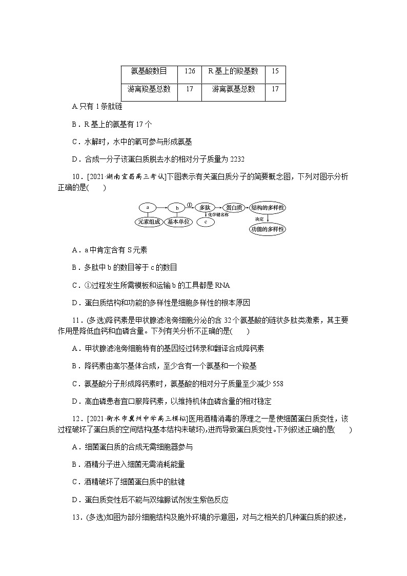 【新教材】2022届新高考生物一轮复习课后检测：3+生命活动的主要承担者——蛋白质+Word版含解析第3页