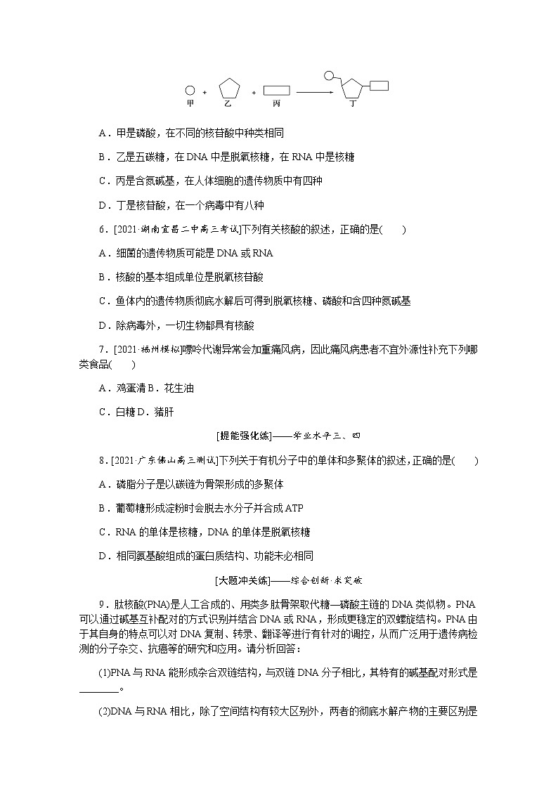 【新教材】2022届新高考生物一轮复习课后检测：4+核酸是遗传信息的携带者细胞中的糖类和脂质+Word版含解析第2页