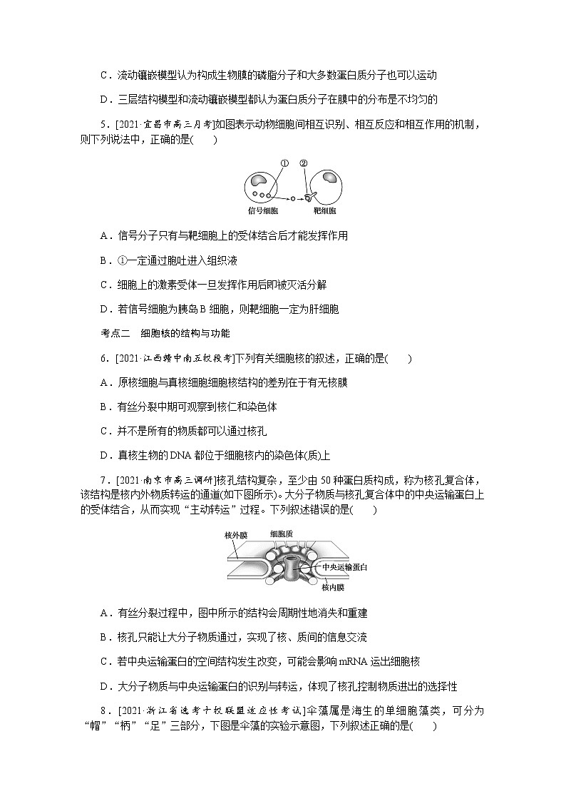 【新教材】2022届新高考生物一轮复习课后检测：5+细胞膜与细胞核+Word版含解析第2页