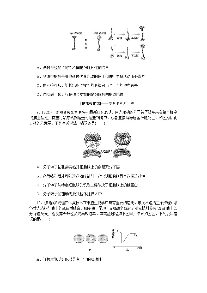 【新教材】2022届新高考生物一轮复习课后检测：5+细胞膜与细胞核+Word版含解析第3页