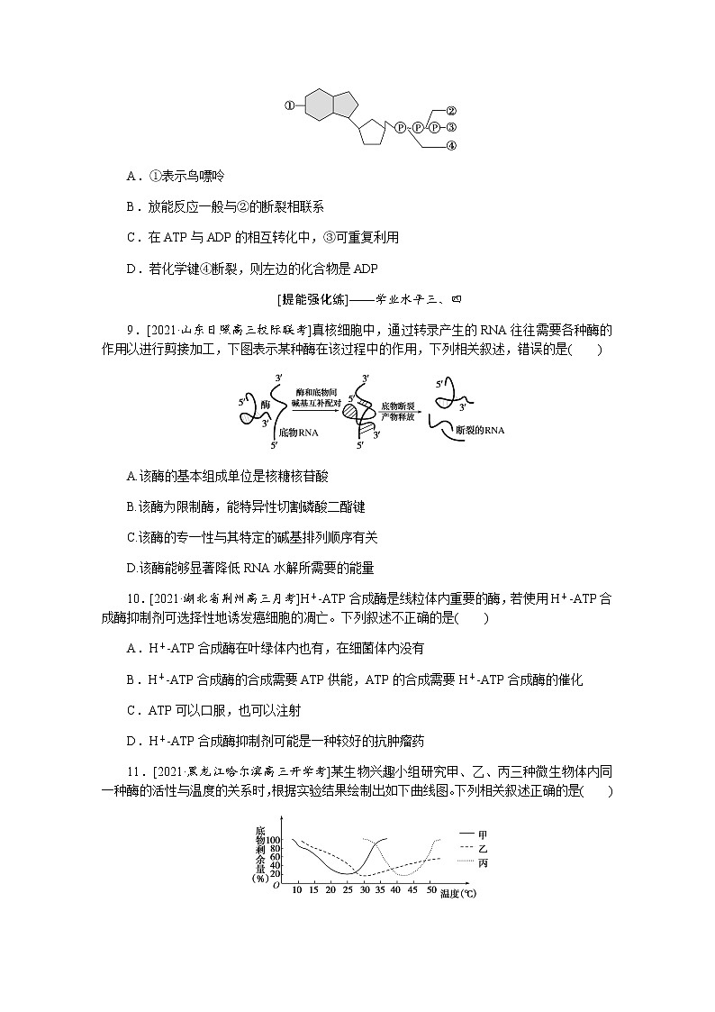 【新教材】2022届新高考生物一轮复习课后检测：8+酶与ATP+Word版含解析第3页