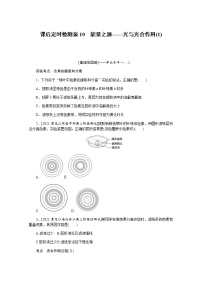 【新教材】2022届新高考生物一轮复习课后检测：10+能量之源——光与光合作用（1）+Word版含解析