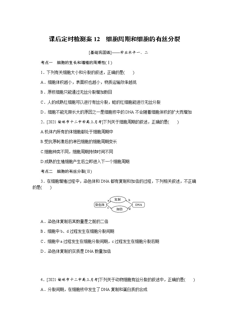 【新教材】2022届新高考生物一轮复习课后检测：12+细胞周期和细胞的有丝分裂+Word版含解析第1页