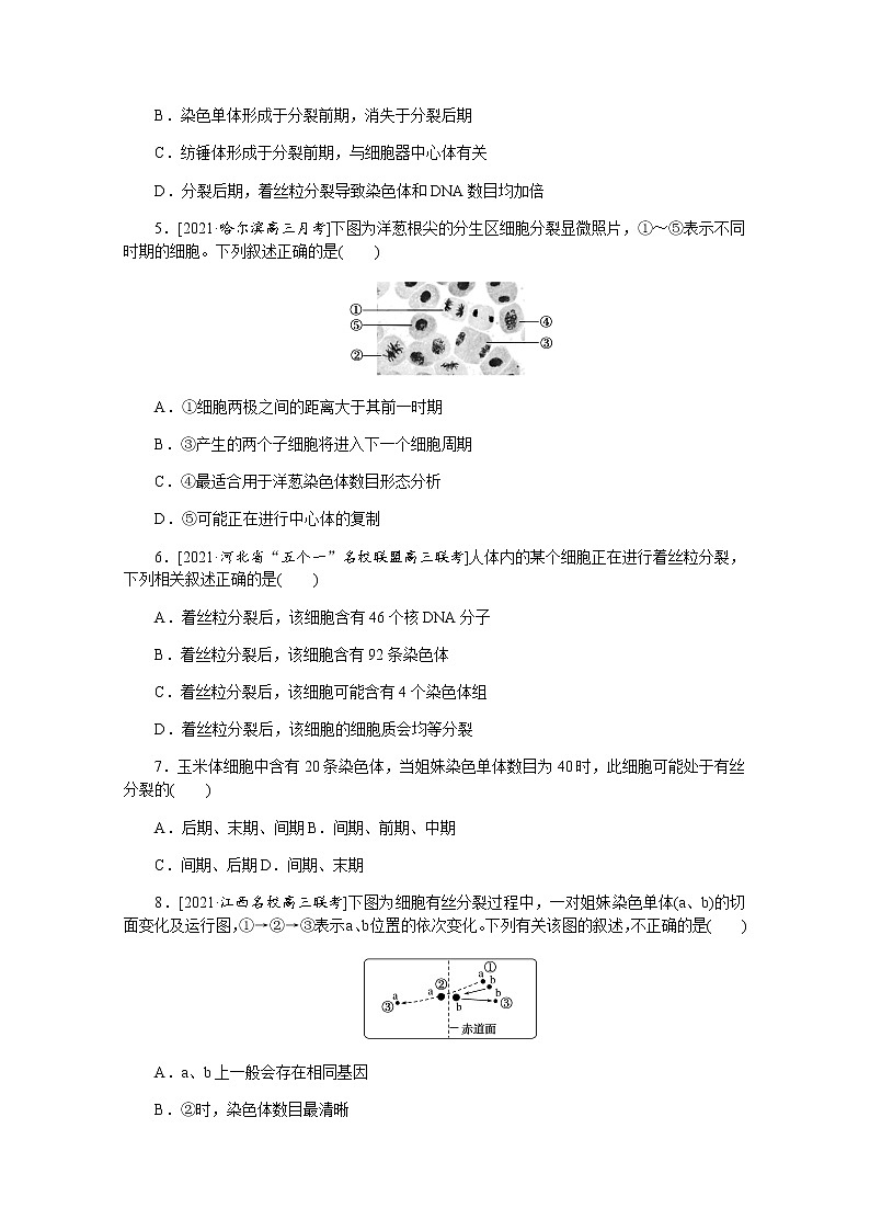 【新教材】2022届新高考生物一轮复习课后检测：12+细胞周期和细胞的有丝分裂+Word版含解析第2页
