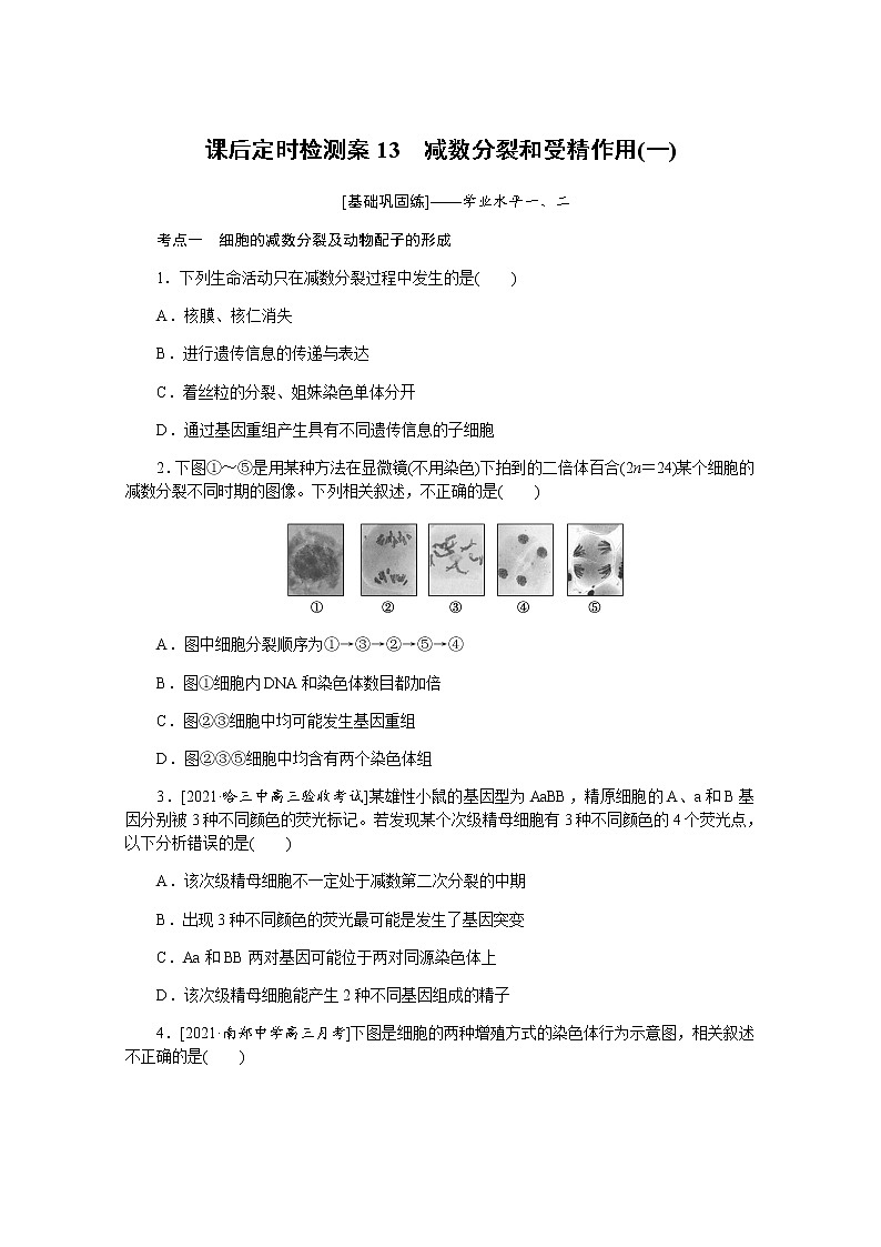 【新教材】2022届新高考生物一轮复习课后检测：13+减数分裂和受精作用（一）+Word版含解析第1页