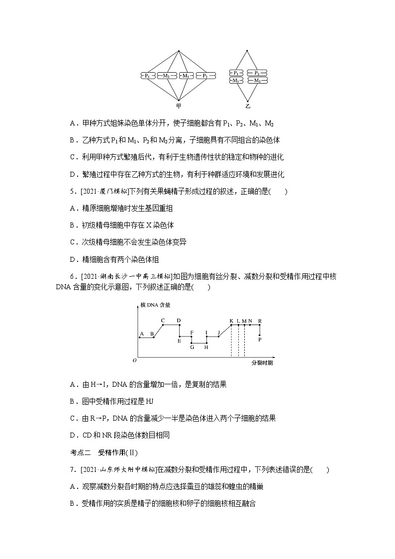 【新教材】2022届新高考生物一轮复习课后检测：13+减数分裂和受精作用（一）+Word版含解析第2页