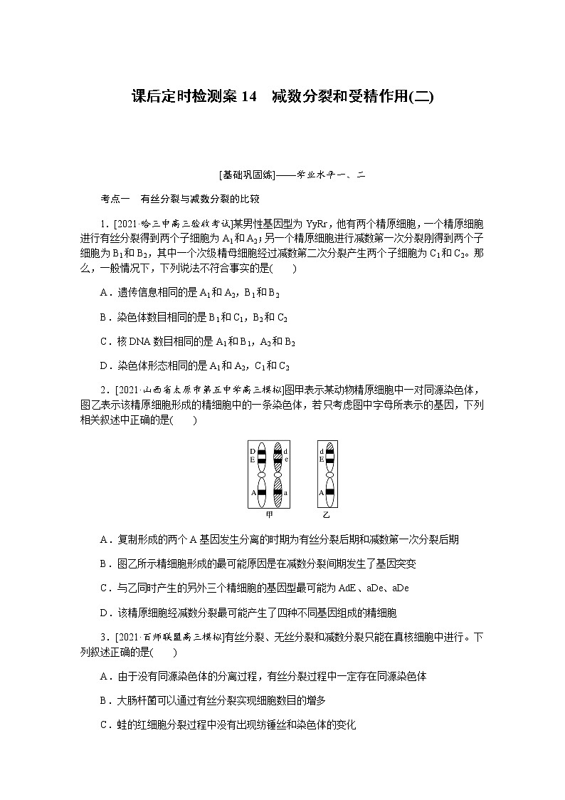 【新教材】2022届新高考生物一轮复习课后检测：14+减数分裂和受精作用（二）+Word版含解析第1页