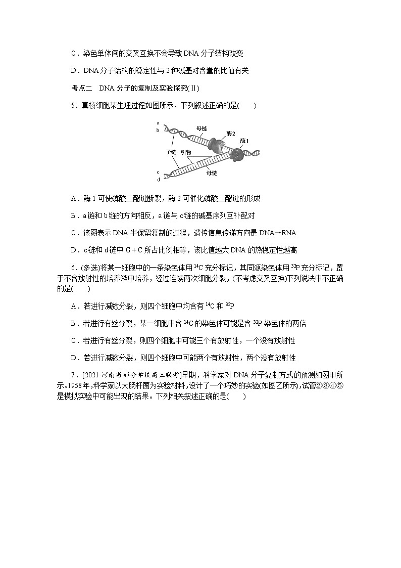 【新教材】2022届新高考生物一轮复习课后检测：21+DNA的结构、复制及基因通常是有遗传效应的DNA片段+Word版含解析第2页