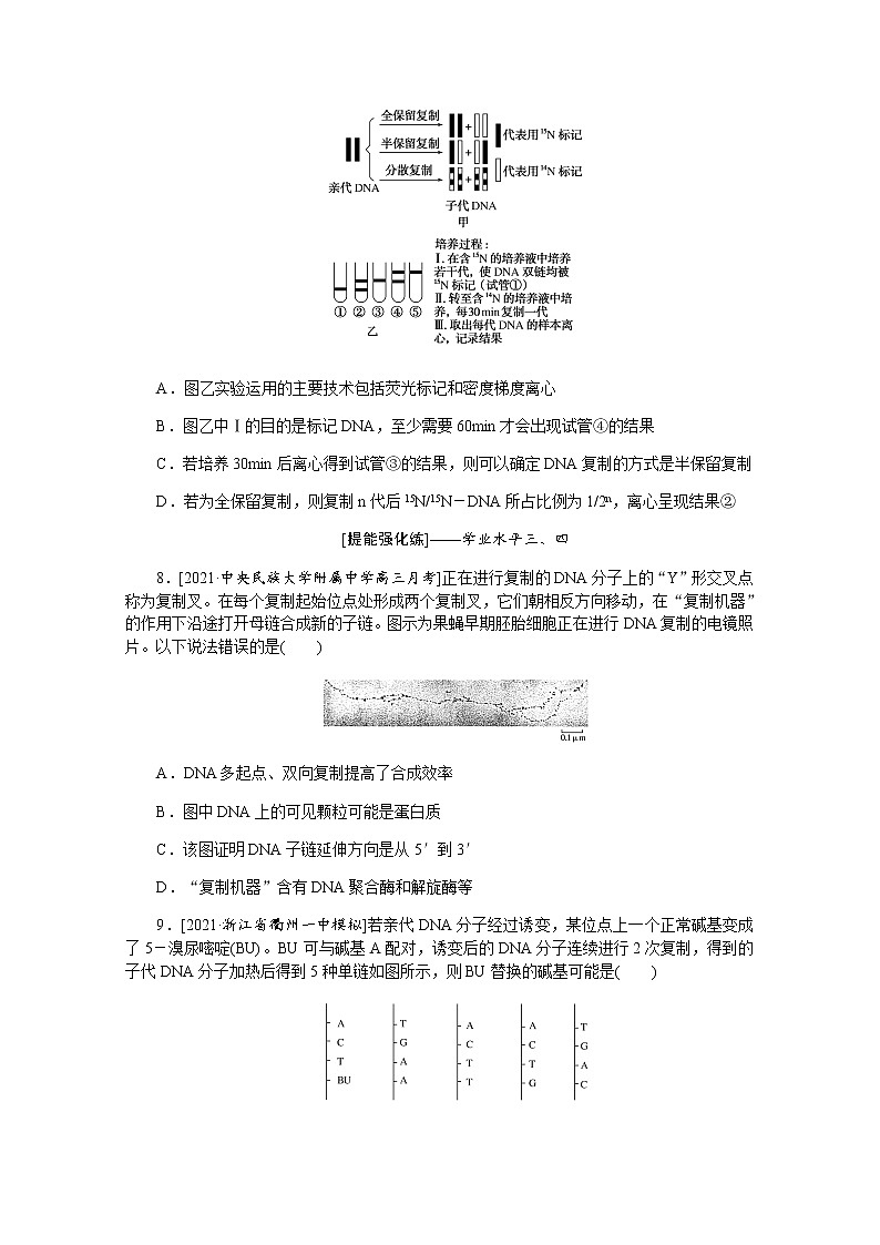 【新教材】2022届新高考生物一轮复习课后检测：21+DNA的结构、复制及基因通常是有遗传效应的DNA片段+Word版含解析第3页