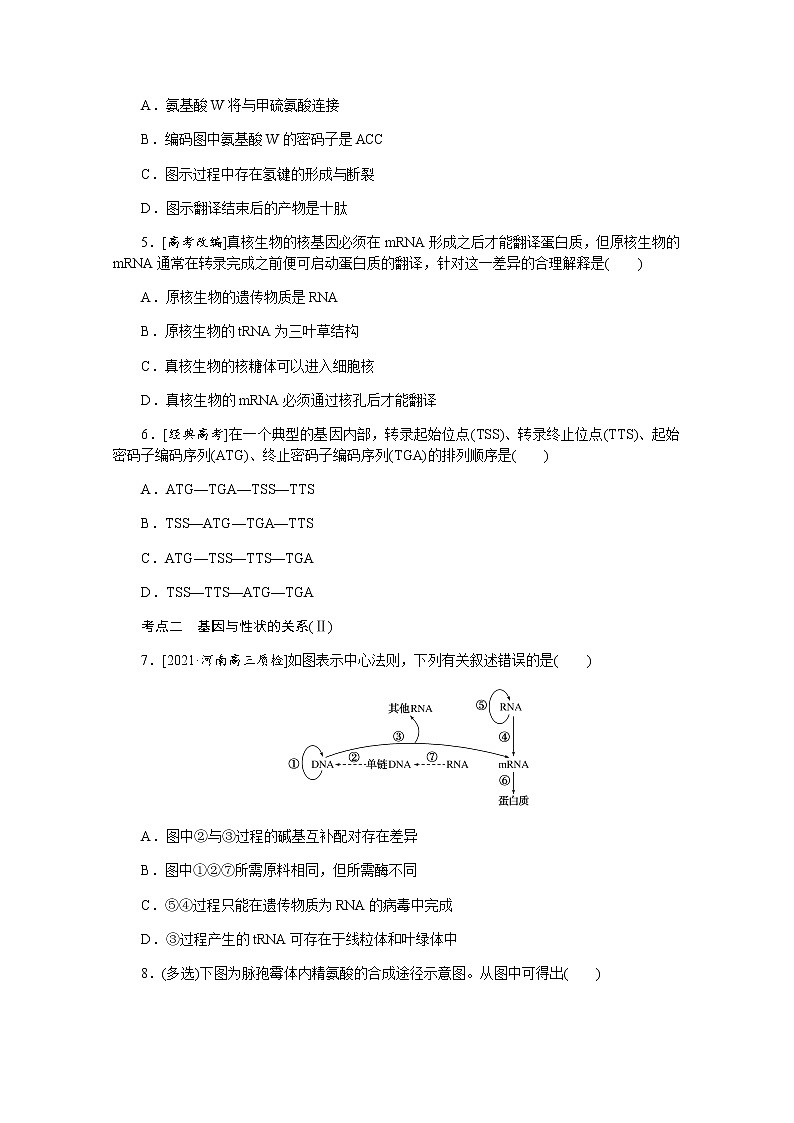 【新教材】2022届新高考生物一轮复习课后检测：22+基因控制蛋白质的合成及其与性状的关系+Word版含解析第2页