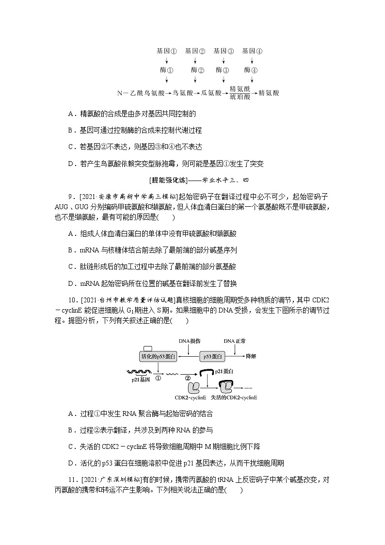 【新教材】2022届新高考生物一轮复习课后检测：22+基因控制蛋白质的合成及其与性状的关系+Word版含解析第3页