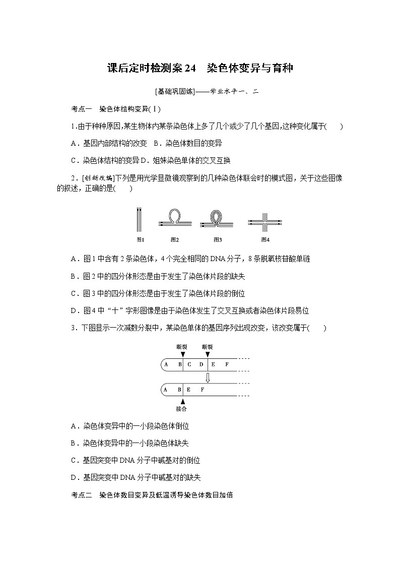 【新教材】2022届新高考生物一轮复习课后检测：24+染色体变异与育种+Word版含解析第1页
