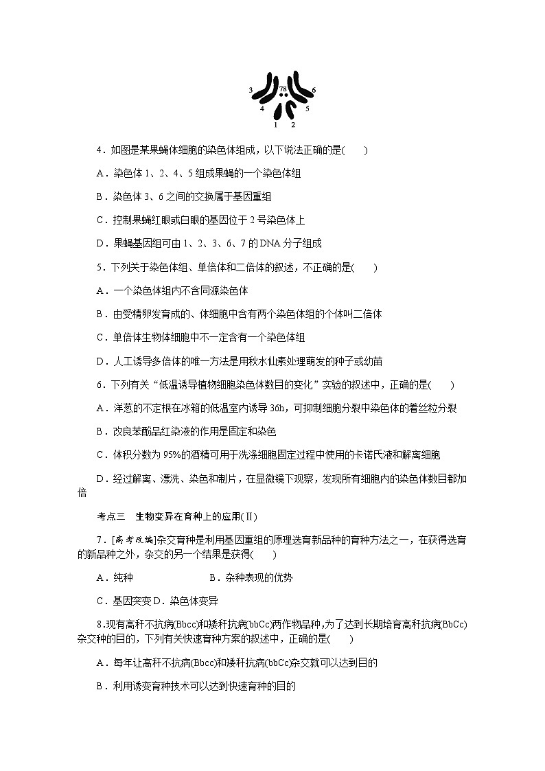 【新教材】2022届新高考生物一轮复习课后检测：24+染色体变异与育种+Word版含解析第2页