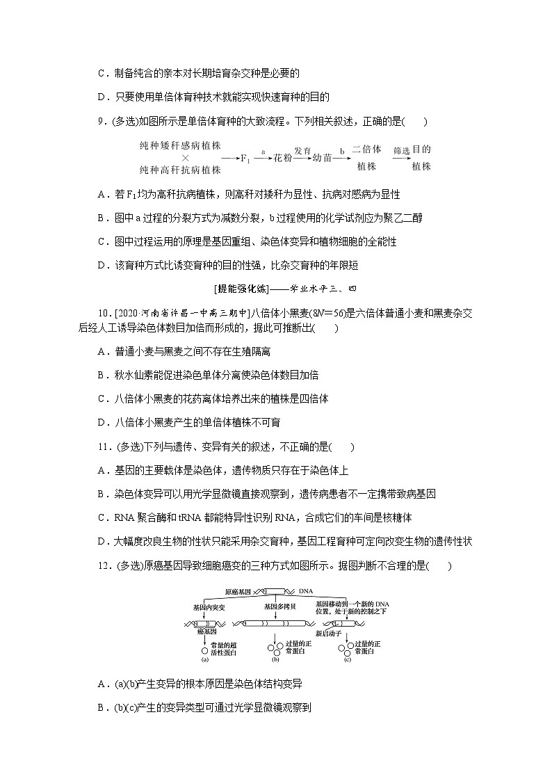 【新教材】2022届新高考生物一轮复习课后检测：24+染色体变异与育种+Word版含解析第3页