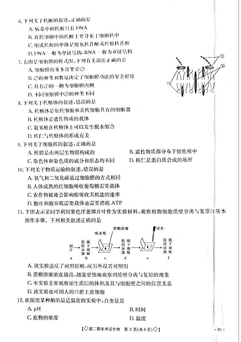 2019-2020学年甘肃省酒泉市高二上学期期末考试生物试题 PDF版02