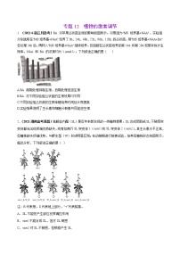 专题12植物的激素调节-三年（2019-2021）高考生物真题分项汇编（原卷版）