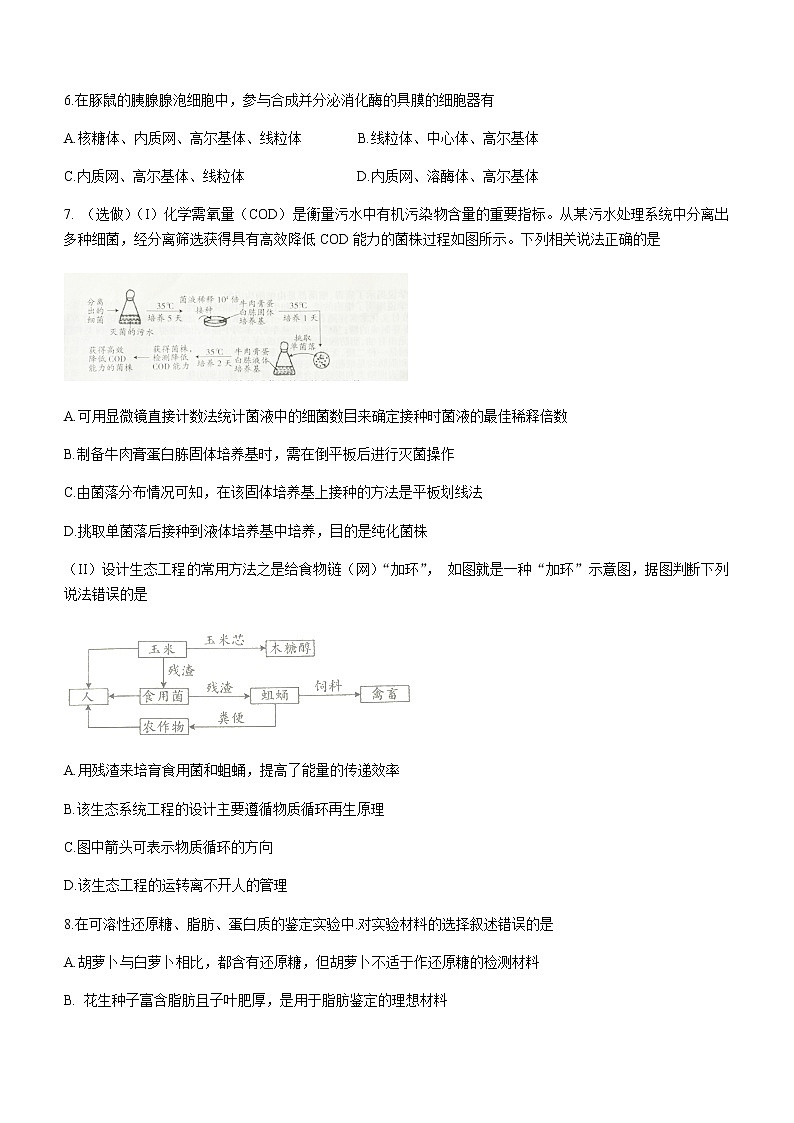 山西省吕梁市2020-2021学年高二下学期期末考试生物试题 Word版含答案03