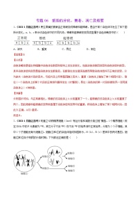 专题06细胞的分化、衰老、凋亡及癌变-三年（2019-2021）高考生物真题分项汇编（解析版）