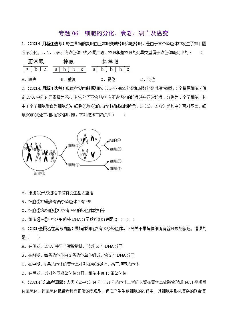 专题06细胞的分化、衰老、凋亡及癌变-三年（2019-2021）高考生物真题分项汇编（原卷版）第1页