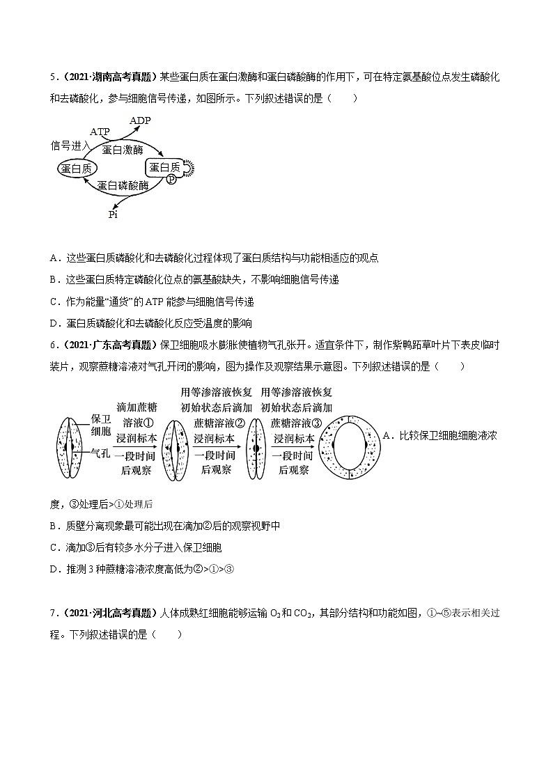 专题02物质运输、酶与ATP-三年（2019-2021）高考生物真题分项汇编（原卷版）第2页
