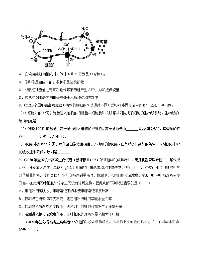 专题02物质运输、酶与ATP-三年（2019-2021）高考生物真题分项汇编（原卷版）第3页