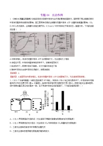 专题04光合作用-三年（2019-2021）高考生物真题分项汇编（解析版）