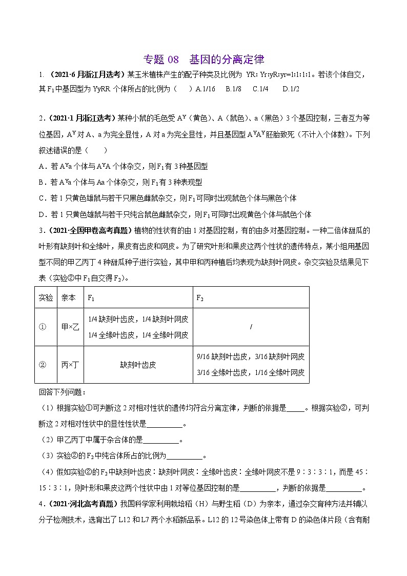 专题08基因的分离定律-三年（2019-2021）高考生物真题分项汇编（原卷版）第1页