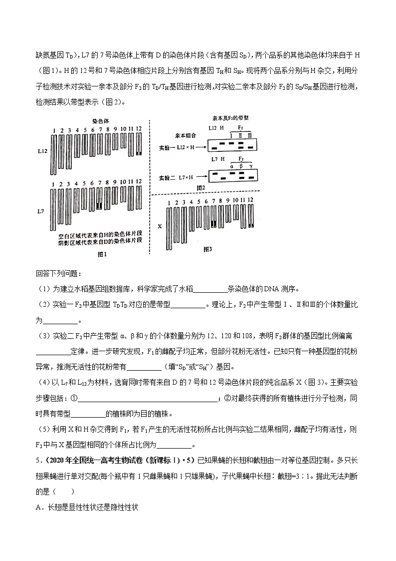 专题08基因的分离定律-三年（2019-2021）高考生物真题分项汇编（原卷版）第2页