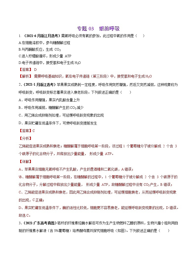 专题03细胞呼吸-三年（2019-2021）高考生物真题分项汇编（解析版）第1页