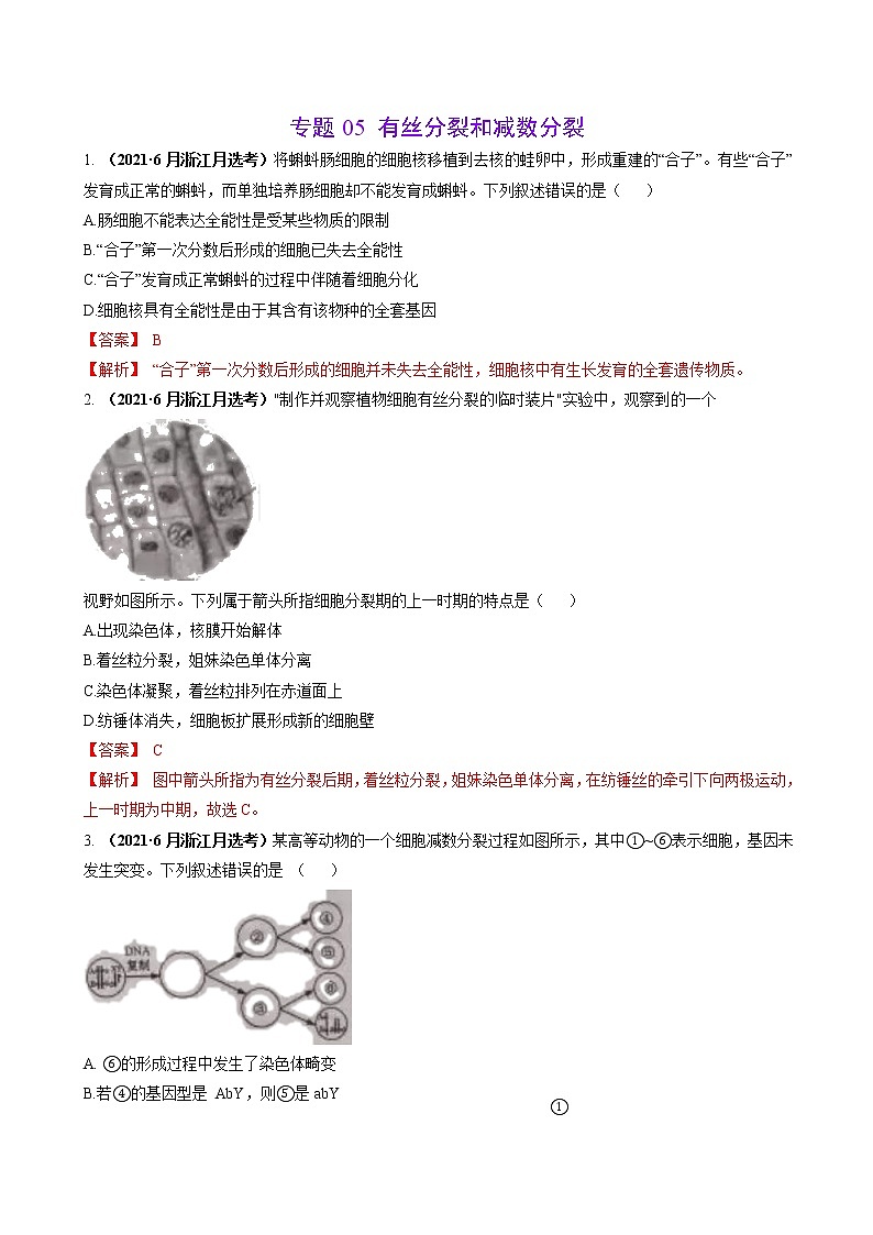 专题05有丝分裂和减数分裂-三年（2019-2021）高考生物真题分项汇编（解析版）01