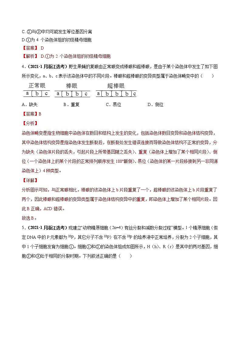 专题05有丝分裂和减数分裂-三年（2019-2021）高考生物真题分项汇编（解析版）02