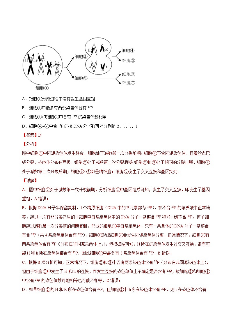 专题05有丝分裂和减数分裂-三年（2019-2021）高考生物真题分项汇编（解析版）03