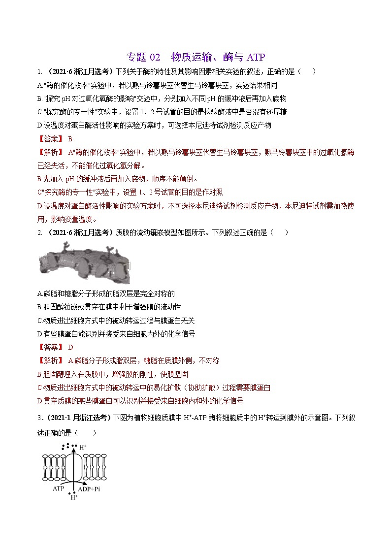 专题02物质运输、酶与ATP-三年（2019-2021）高考生物真题分项汇编（解析版）01