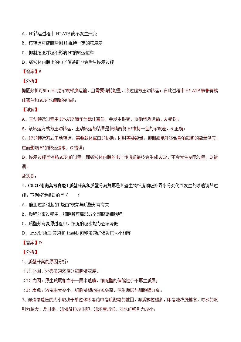 专题02物质运输、酶与ATP-三年（2019-2021）高考生物真题分项汇编（解析版）02