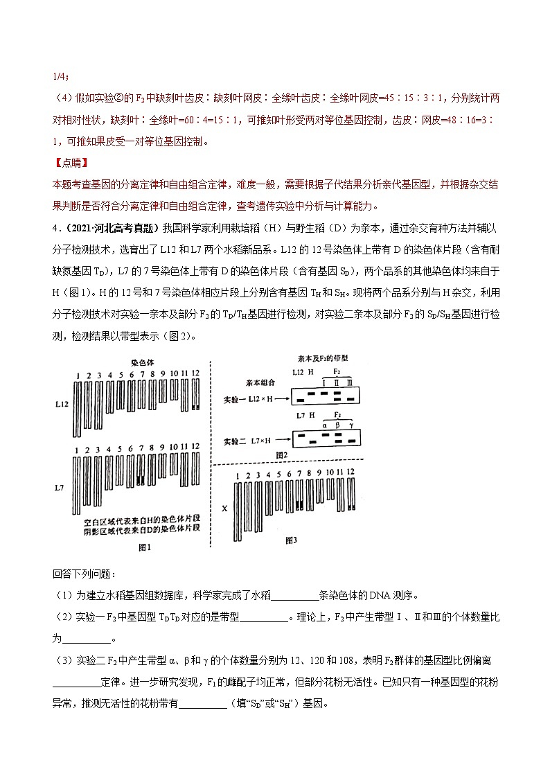 专题08基因的分离定律-三年（2019-2021）高考生物真题分项汇编（解析版）第3页