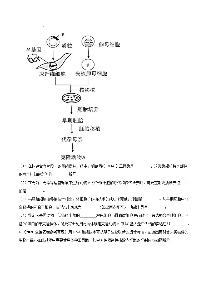 专题20现代生物科技专题-三年（2019-2021）高考生物真题分项汇编（原卷版）02