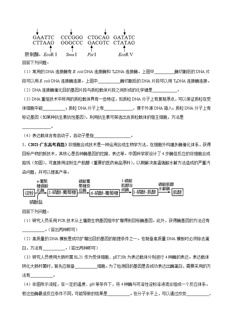 专题20现代生物科技专题-三年（2019-2021）高考生物真题分项汇编（原卷版）03