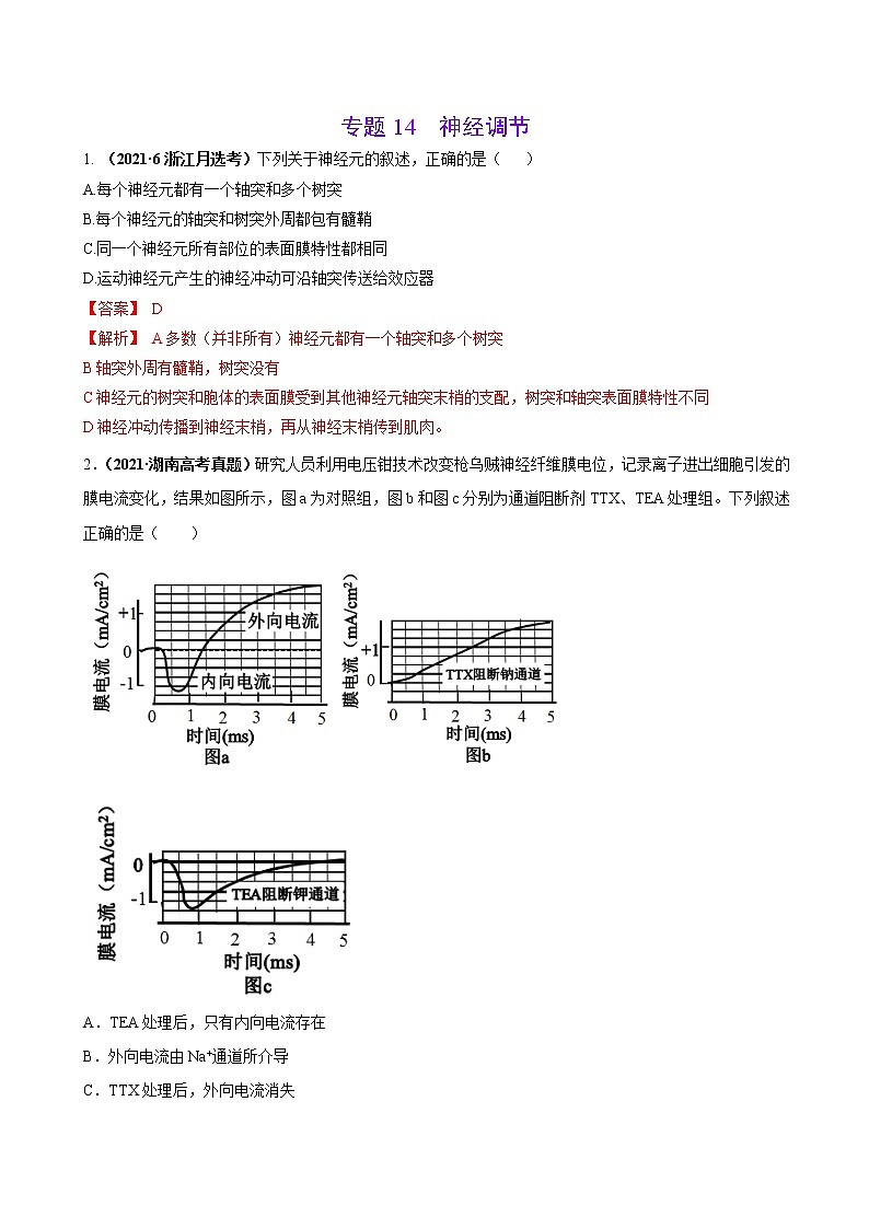 专题14神经调节-三年（2019-2021）高考生物真题分项汇编（解析版）第1页