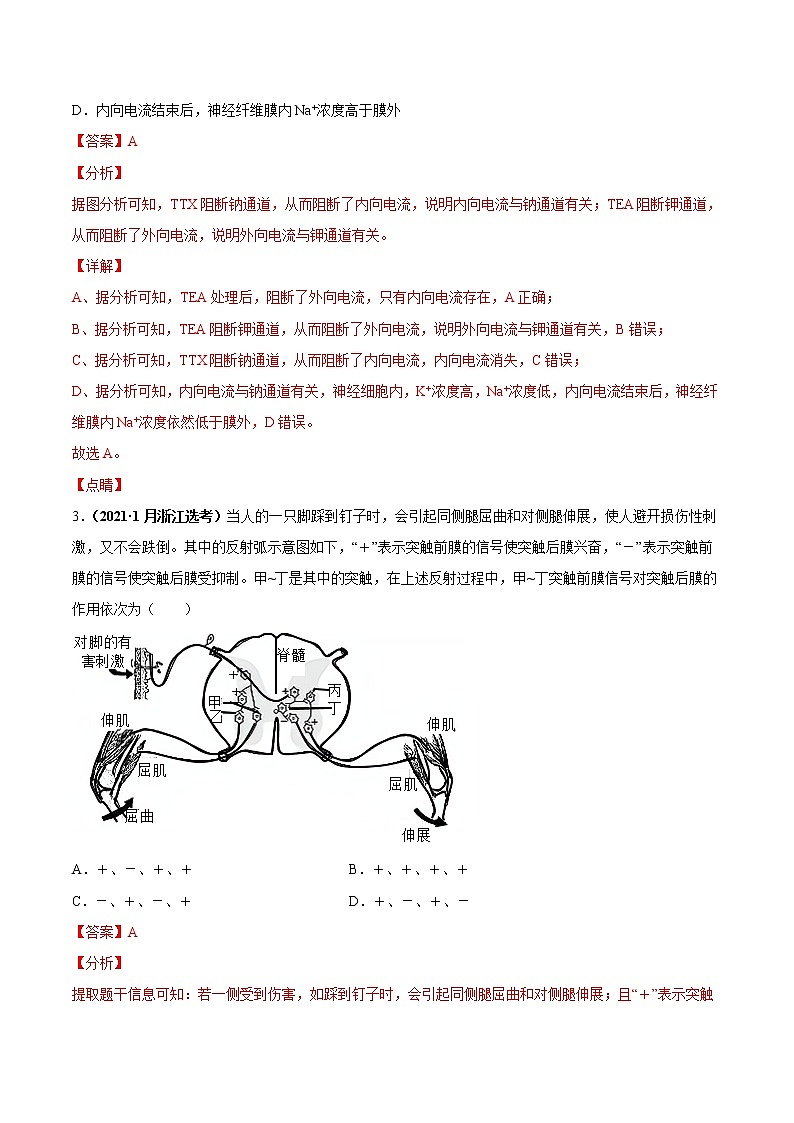 专题14神经调节-三年（2019-2021）高考生物真题分项汇编（解析版）第2页