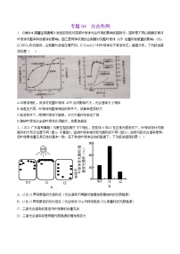 专题04光合作用-三年（2019-2021）高考生物真题分项汇编（原卷版）