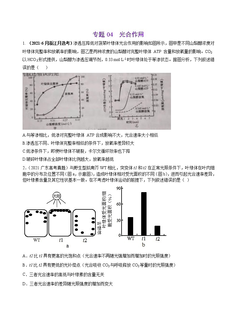 专题04光合作用-三年（2019-2021）高考生物真题分项汇编（原卷版）第1页