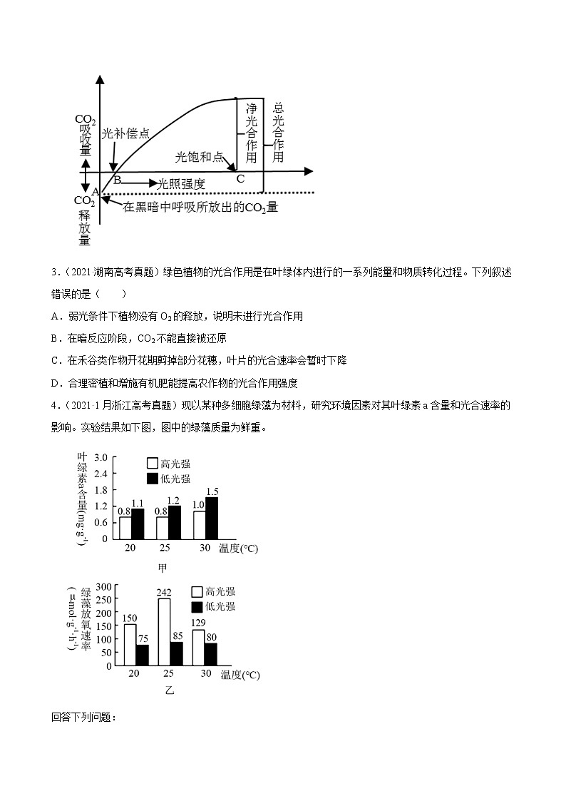 专题04光合作用-三年（2019-2021）高考生物真题分项汇编（原卷版）第2页