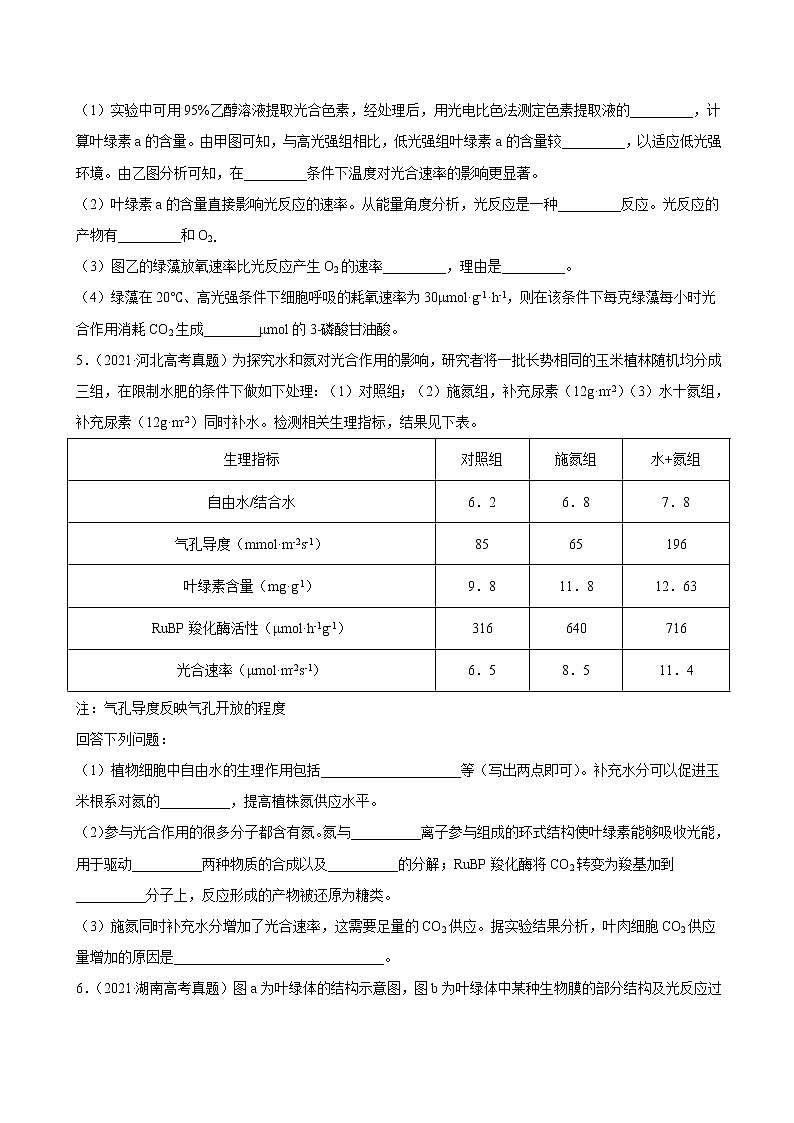 专题04光合作用-三年（2019-2021）高考生物真题分项汇编（原卷版）第3页