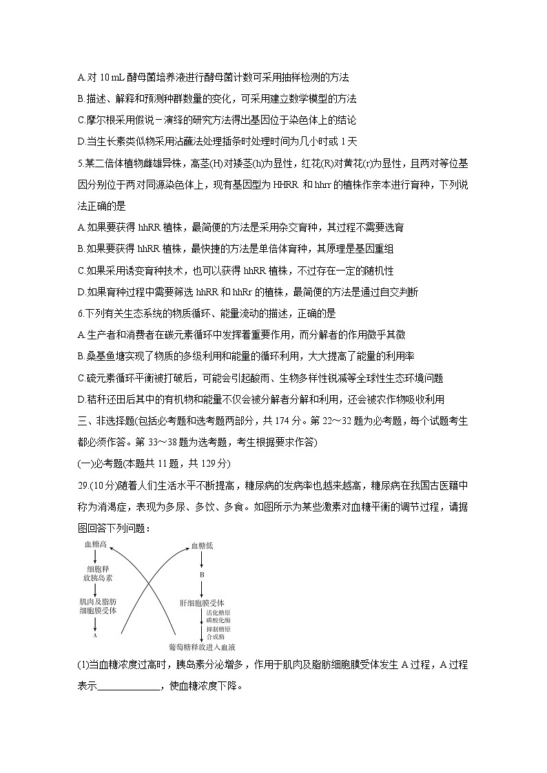 “超级全能生”2021届高三全国卷地区5月联考试题（甲卷）+生物+Word版含解析02