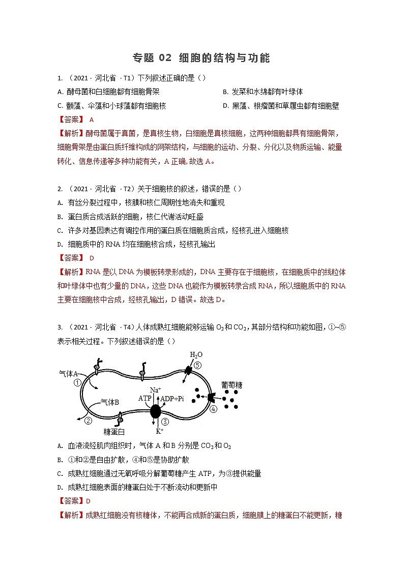2021年高考生物真题和模拟题分类汇编 专题02 细胞的结构与功能01