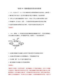 2021年高考真题和模拟题分类汇编+生物+专题04+细胞的能量供应和利用+Word版含解析