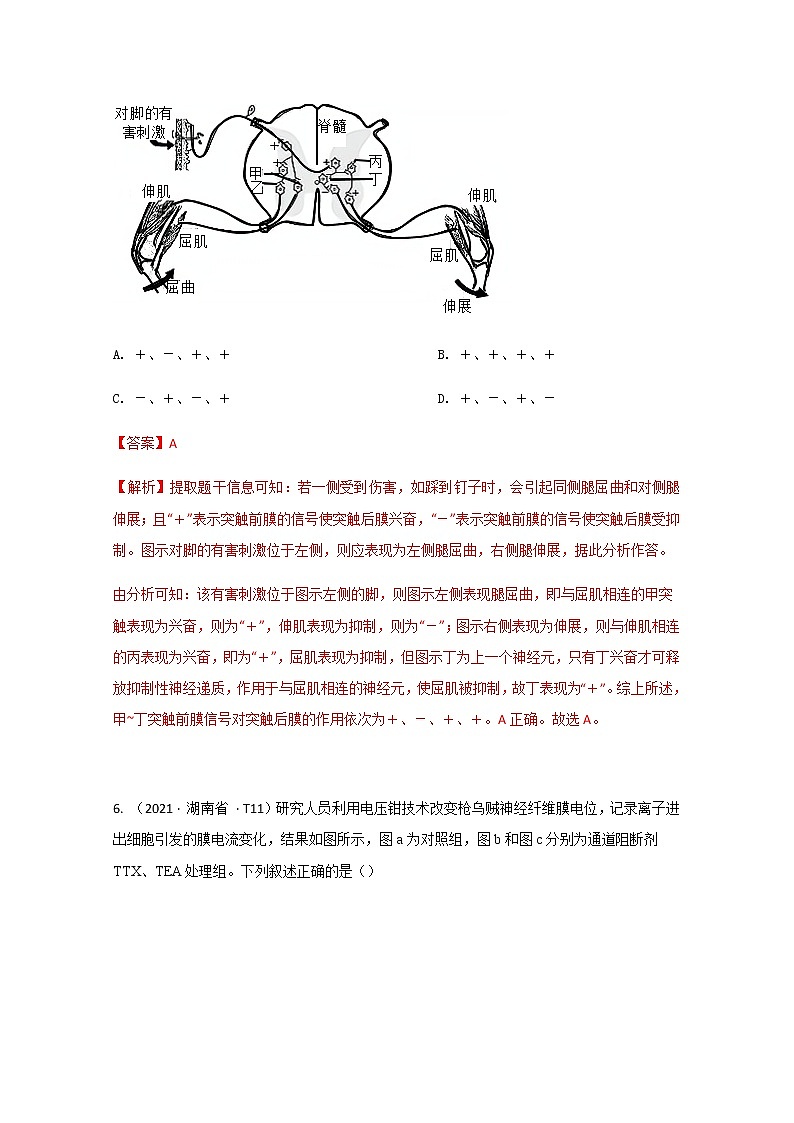 2021年高考真题和模拟题分类汇编+生物+专题10+动物和人体生命活动调节+Word版含解析第3页