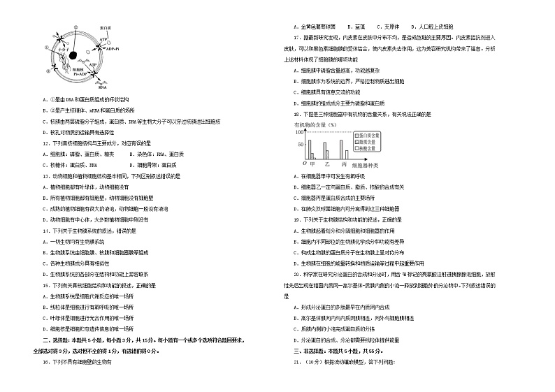 2021年新教材高中生物第三章细胞的基本结构双基训练金卷一新人教版必修1分子与细胞02